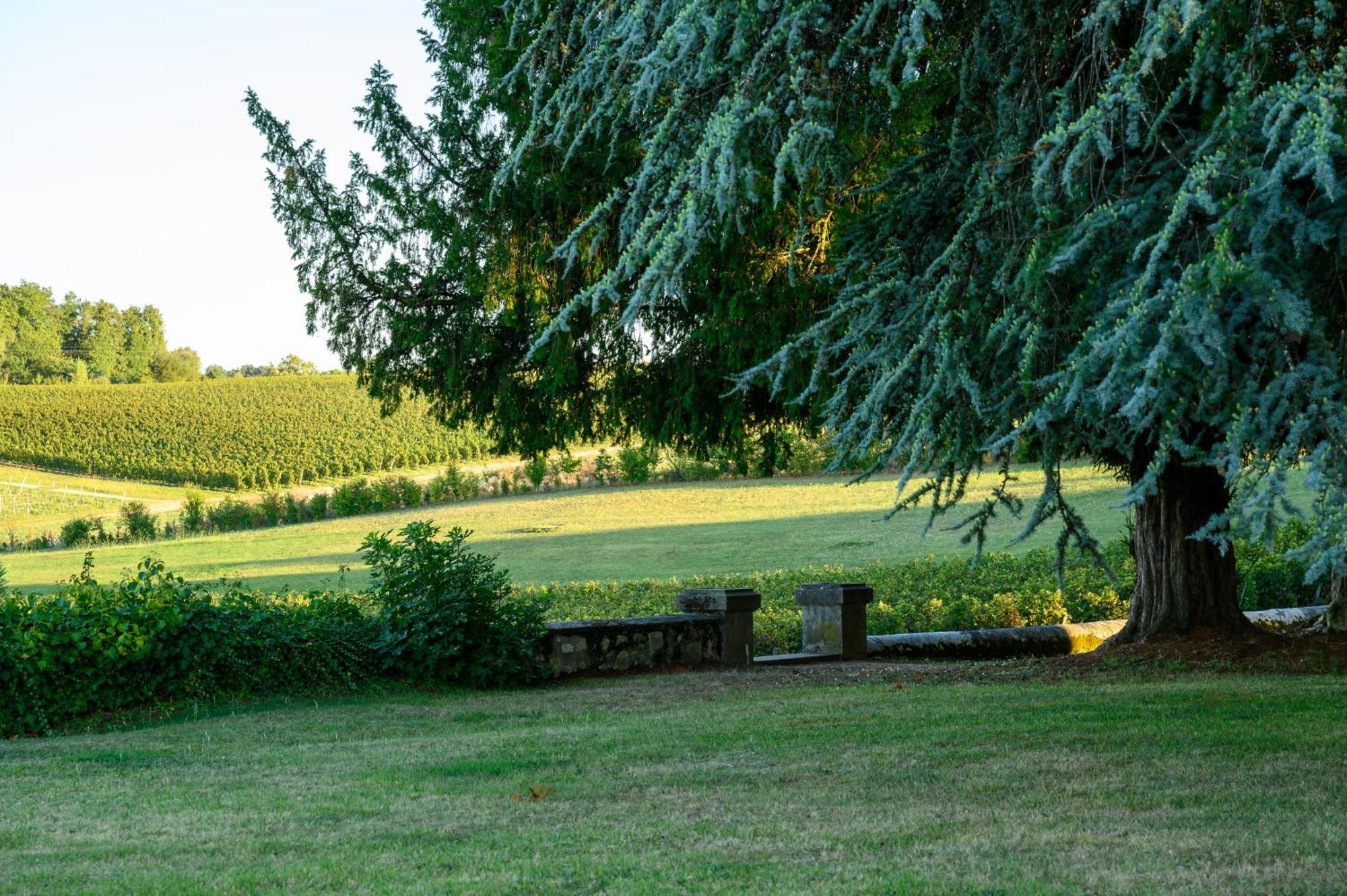 Les Secrets Château Pey La Tour Salleboeuf Exterior foto